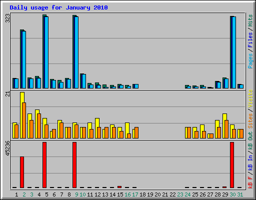 Daily usage for January 2010
