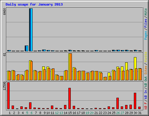 Daily usage for January 2013