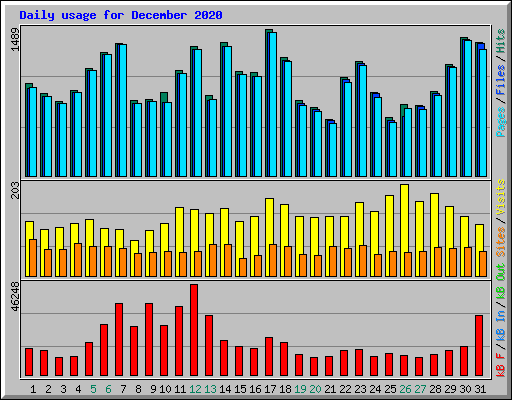 Daily usage for December 2020