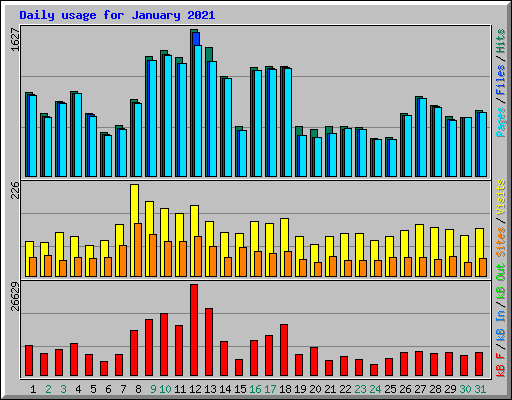Daily usage for January 2021