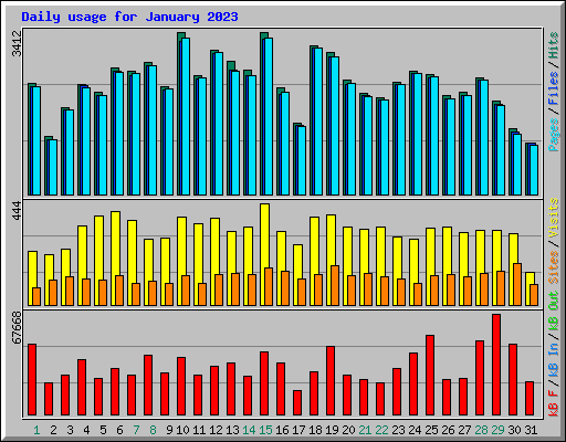 Daily usage for January 2023