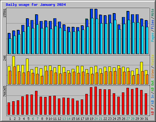 Daily usage for January 2024