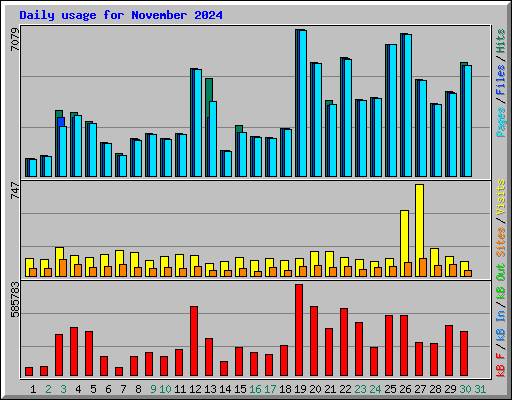 Daily usage for November 2024