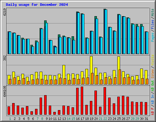 Daily usage for December 2024