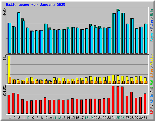 Daily usage for January 2025