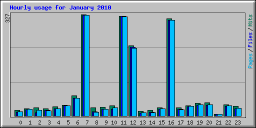 Hourly usage for January 2010