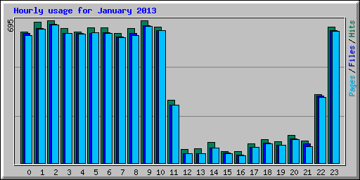 Hourly usage for January 2013