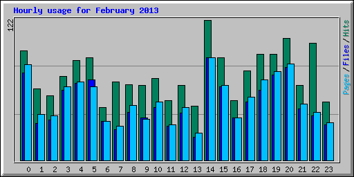 Hourly usage for February 2013