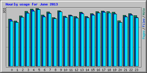 Hourly usage for June 2013
