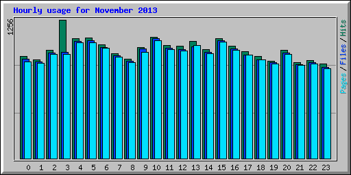 Hourly usage for November 2013