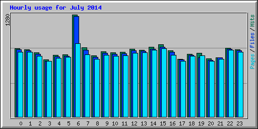 Hourly usage for July 2014