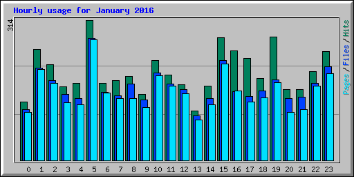 Hourly usage for January 2016