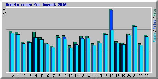 Hourly usage for August 2016