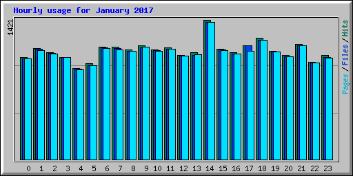 Hourly usage for January 2017
