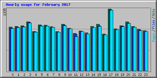 Hourly usage for February 2017