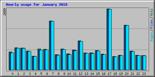 Hourly usage for January 2018