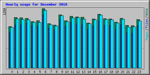 Hourly usage for December 2018