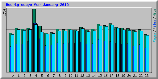 Hourly usage for January 2019