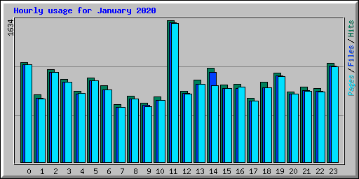 Hourly usage for January 2020