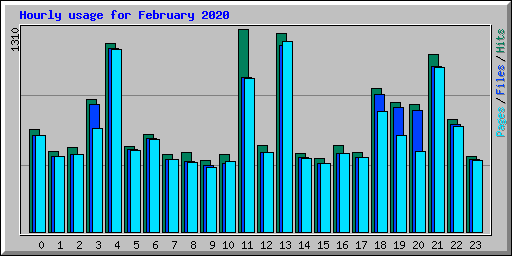 Hourly usage for February 2020