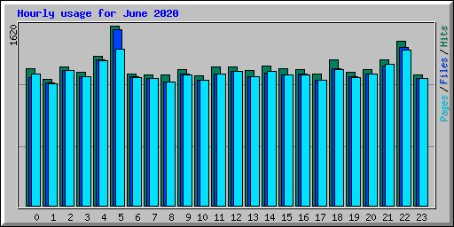 Hourly usage for June 2020