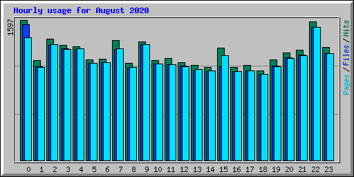 Hourly usage for August 2020