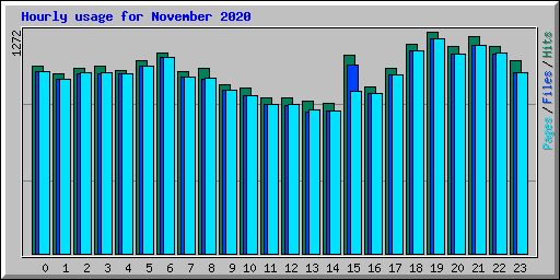 Hourly usage for November 2020