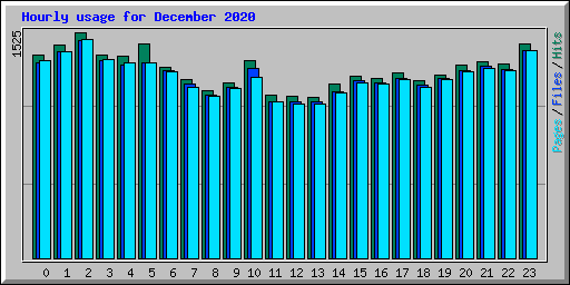 Hourly usage for December 2020