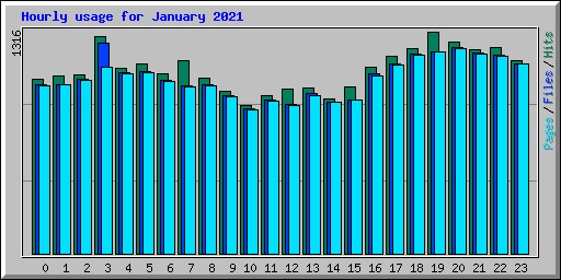 Hourly usage for January 2021