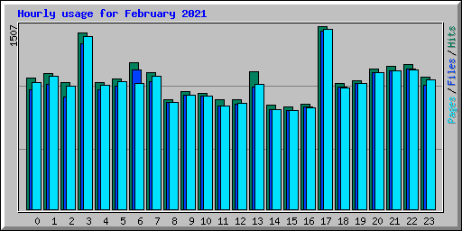 Hourly usage for February 2021