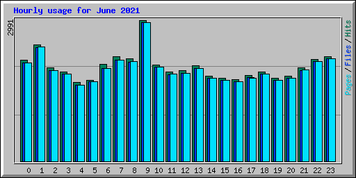 Hourly usage for June 2021
