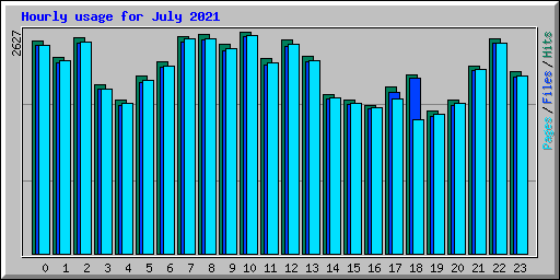 Hourly usage for July 2021