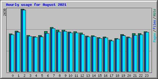 Hourly usage for August 2021