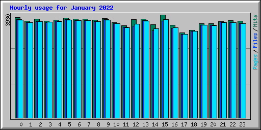 Hourly usage for January 2022