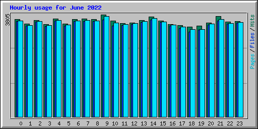 Hourly usage for June 2022
