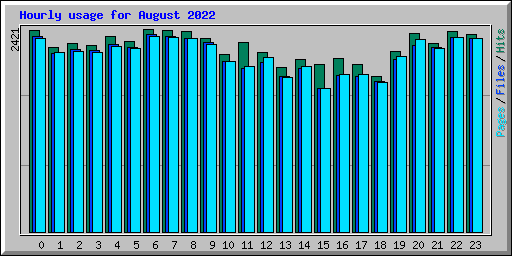 Hourly usage for August 2022