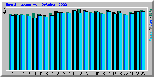 Hourly usage for October 2022