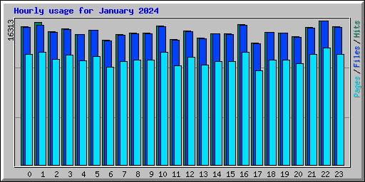 Hourly usage for January 2024