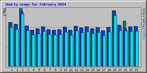 Hourly usage for February 2024