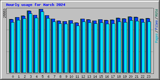 Hourly usage for March 2024