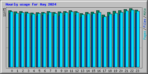 Hourly usage for May 2024
