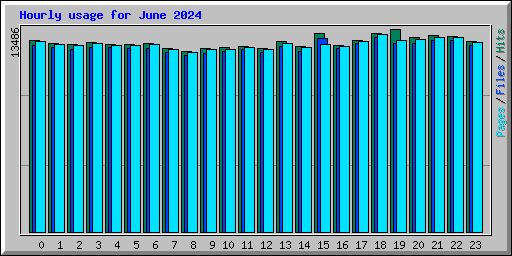 Hourly usage for June 2024