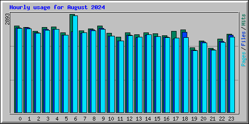 Hourly usage for August 2024