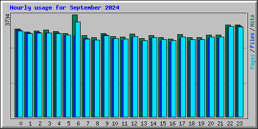 Hourly usage for September 2024