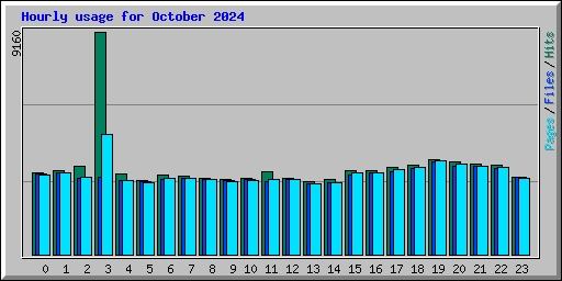 Hourly usage for October 2024