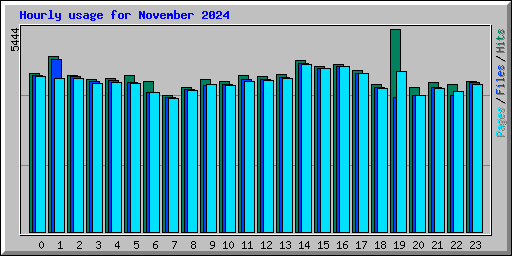 Hourly usage for November 2024