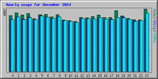 Hourly usage for December 2024
