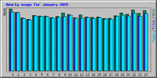 Hourly usage for January 2025