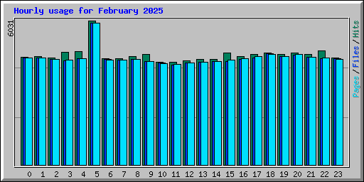 Hourly usage for February 2025