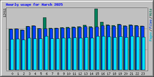 Hourly usage for March 2025